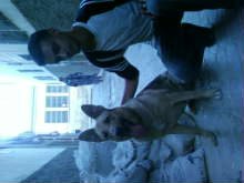 moi et dina